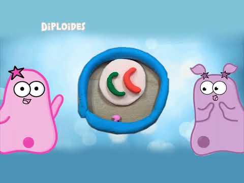 Ciclo Celular 106 - Fatima Silva, Issabela Corte, Michelle Cota e Isabela Figueroa