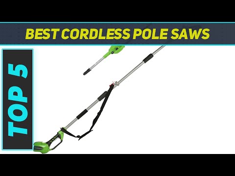 Top 5 Best Cordless Pole Saws in 2023