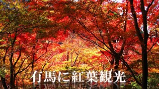 ไปออนเซ็นดูลิง Japan ใบไม้เปลี่ยนสี【紅葉】「永遠に見れる生せんべい焼き」おまけに…猿登場！【Autumn leave】Arima Onsen with Monkey