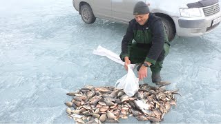 Отчеты о ловле карася нового сезона 2020 на дубравном