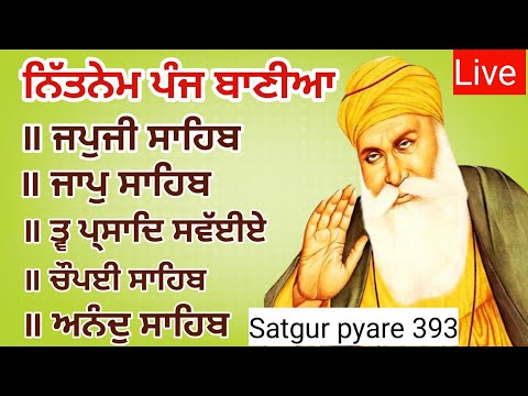 30 March Nitnem sahib full path fast | Nitnem Panj bania | ਨਿਤਨੇਮ ਪੰਜ ਬਾਣੀਆ | japji sahib 393