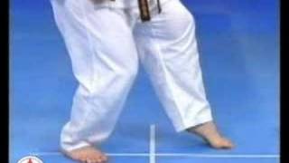 Kyokushin stances