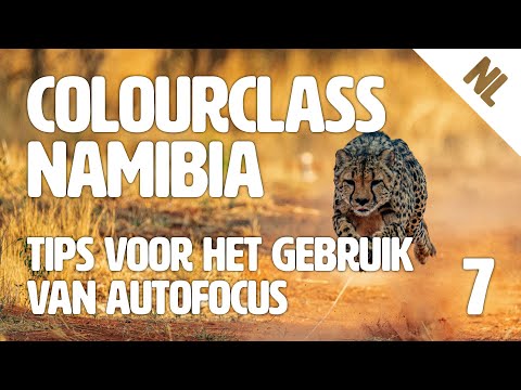 Colourclass Namibia: Aflevering 7 – Tips voor het gebruik van autofocus bij snelle dieren
