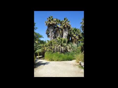 parc Borély in Marseille (France).🏞️