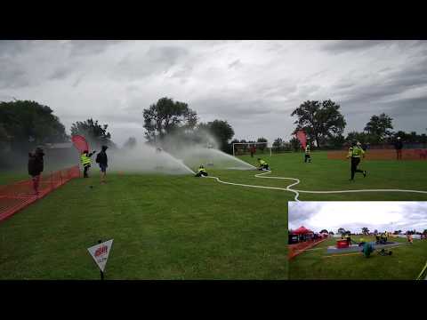 DHZ JAROVCE- ŽENY / LP 20:85  - PP 34:52  / PATA