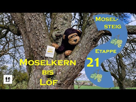Moselsteig, Etappe 21:  Moselkern bis Löf