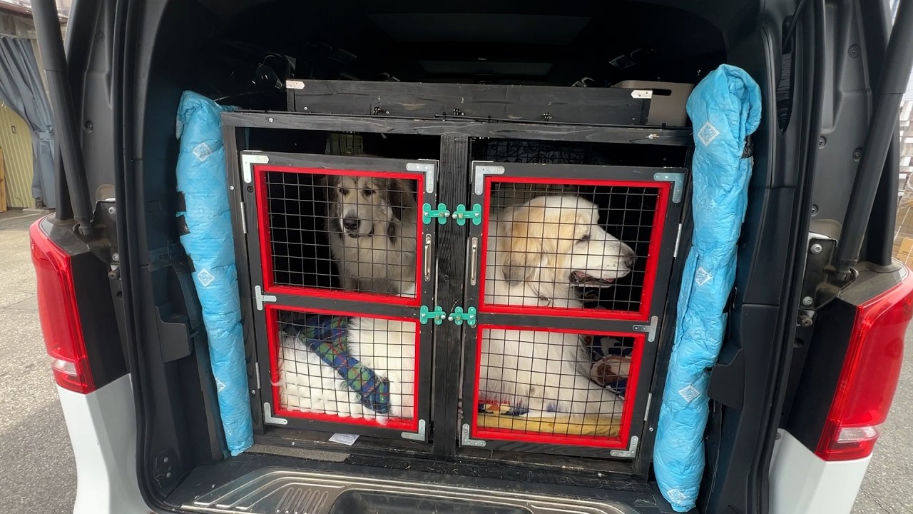 【ルンルンの裏庭】後ろのケージを1部屋にしてアランの空間を作りました