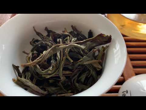 download lagu mp3 mp4 Almond Oolong Tea, download lagu Almond Oolong Tea gratis, unduh video klip Almond Oolong Tea