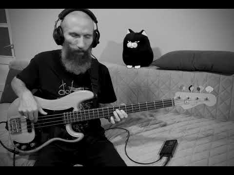 Dordeduh - Vraci de Nord (extended version) (bass playthrough)