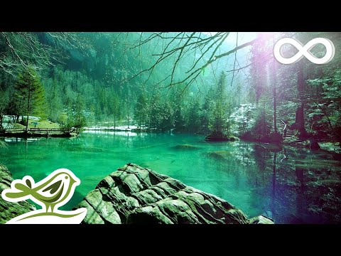 Relaxing Sleep Music: Deep Sleeping Music Relaxing Music Stress Relief Meditation Music