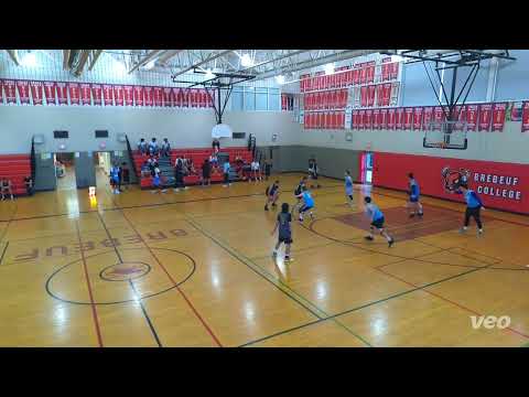 Monarchs (37) tier 14 - 2023 SUMMER Blue Fire (36) - tcbl sunday