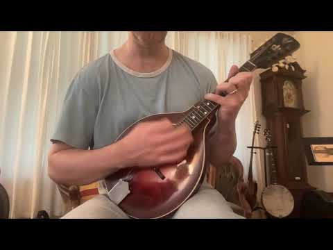 Gibson A 4 Mandolin 1929 - Sunburst Bild 17