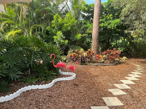 HARMONIKO MOJA SUZOM NAKVASENA