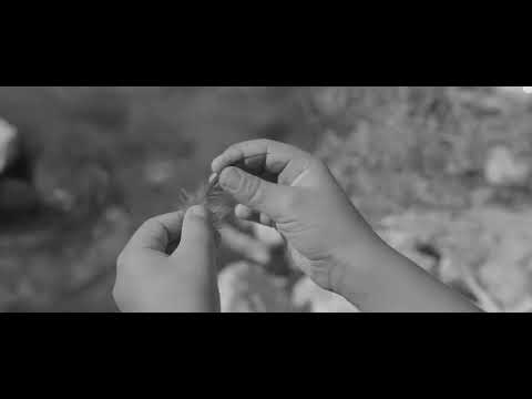 10 Minutes Younger Official Trailer trailer thumbnail