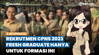Dibuka Bulan September, Rekrutmen CPNS 2023 untuk Fresh Graduate Hanya Pada Formasi Berikut Ini