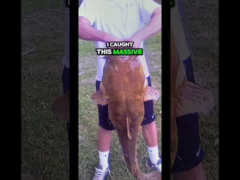 BIGGEST CATFISH in the SMALLEST POND! #fishing #catfishing #pondfishing
