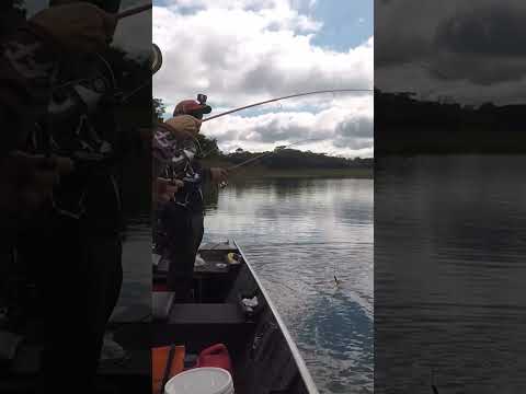 Só Piau de respeito #pescaria  #fishing