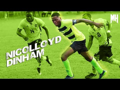 Nicolloyd Dinham ● FCA Darmstadt