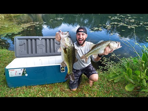 download lagu mp3 mp4 Fish Wagon Schedule 2019, download lagu Fish Wagon Schedule 2019 gratis, unduh video klip Fish Wagon Schedule 2019