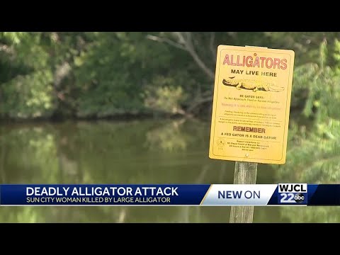 South Carolina: One person killed in alligator attack