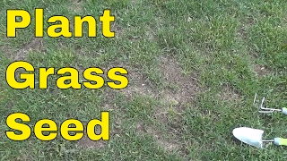 How To Plant Grass Seed-FULL Tutorial