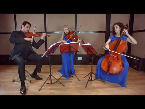 The Arrival Of The Queen of Sheba (Handel) - String Trio Wedding Music