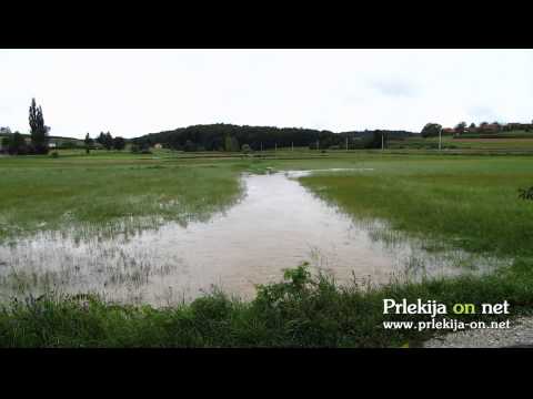 Narasle vode v Prlekiji