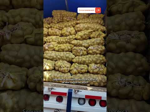 Vereador NIVALDO DA BATATA morre em acidente com carga de batatas em SC