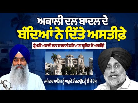 More Resignation From SAD-Badal's Haryana Unit Stirs Controversy