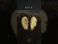 The decay of apples in a earth worm box