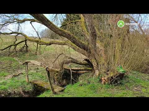 Geführte Wanderung am 17.03.2024: Über den Wiedweg zum Raiffeisen-Panoramaweg