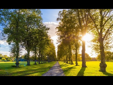 CANÇÃO DA AMIZADE - FRANKLIN HEILBUTH