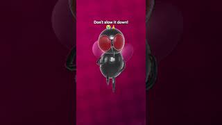 Download lagu Don't pls!! mp3