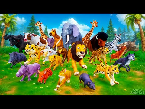 The INSANE Jungle Animal Race that Will Leave You SPEECHLESS | Funny Animals