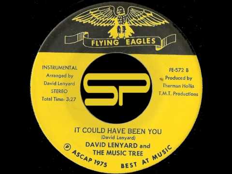 DISCO 45t - DAVID LENYARD - It could have been you - 1975 Flying eagles