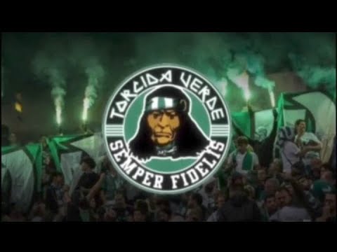 Torcida Verde - Sporting VS Vitória SC | Época 23/24 | 21/4/2024