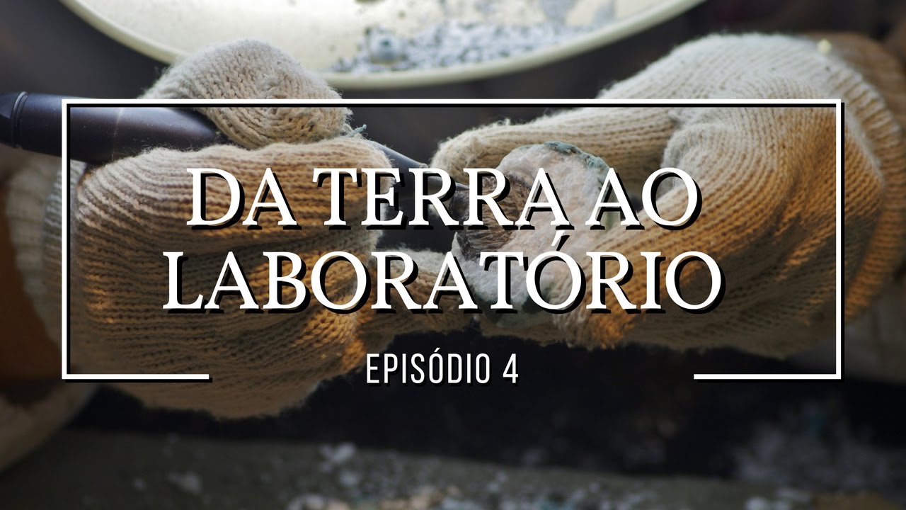 Da terra ao laboratório | Dinossauros #4