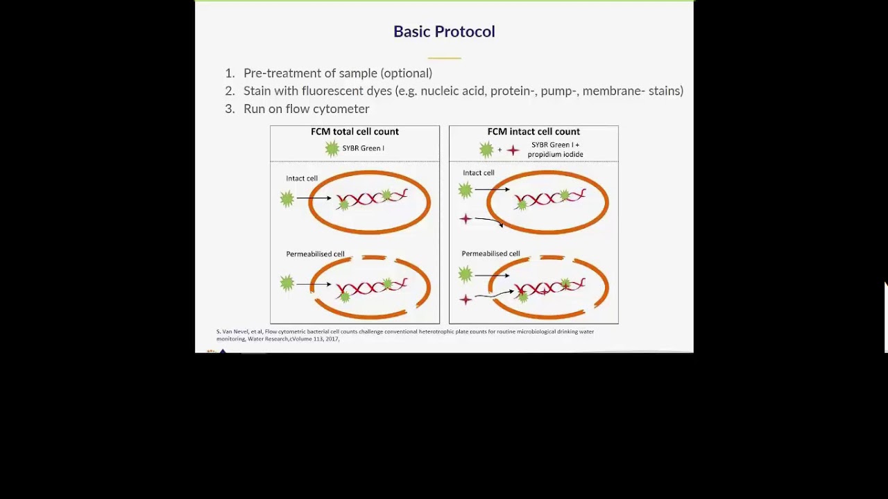 A Flow Cytometry Method for Detecting Bacteria in Water