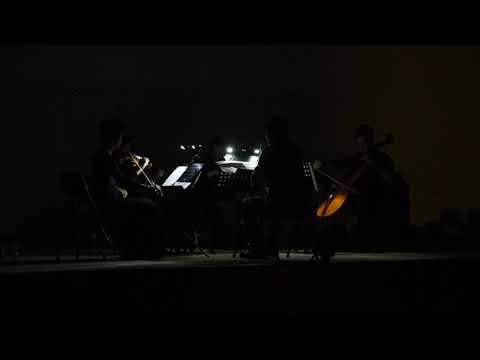 Hassfest collab: Sam Grigorian / Justina Repečkaitė | Performed by : Ensemble X.Y 2016 (ACCEA)
