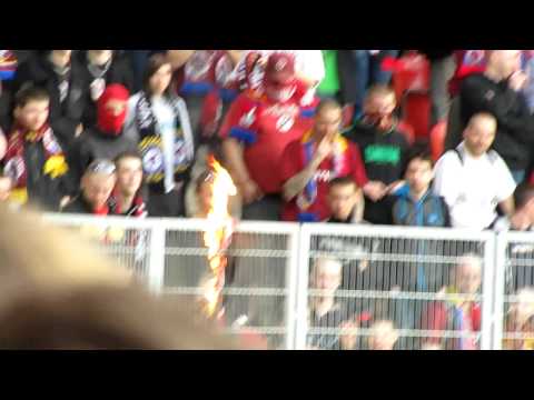 Hořicí slávistická šála