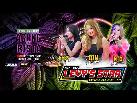🔴 LIVE STREAM LEVY'S STAR MUSIC - WEDDING PARTY AGUNG & RISTA - TEGALOMBO DUKUHSETI - SAA AUDIO