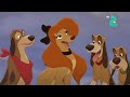 The Fox And The Hound 2 We Re In Harmony Reprise Arabic Tv