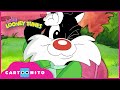 Baby Looney Tunes Tea And Basketball Cartoonito