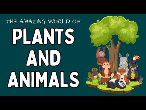 The Amazing World of Plants and Animals