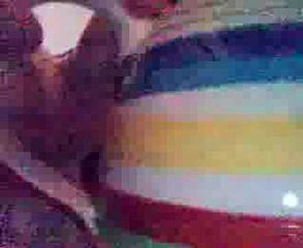 The secret life of a fridge!