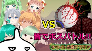 【Terraria】ボス攻略はテラリアの華！皆でボスバトル!!【＃ホワイト企業テラリア】