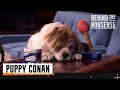 Behind The Nonsense Puppy Conan Team Coco