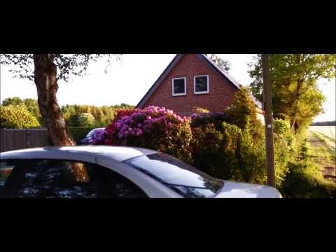 Jenemy Vs Jizz Fizz Vbt 2015 RR I Punjizz Hook