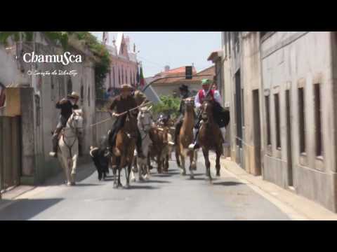 Bull Run - Ascension 2017