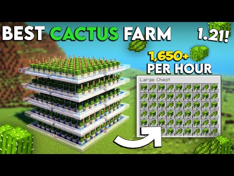 Minecraft BEST Cactus From 1.21 - Easiest Cactus Farm Tutorial Minecraft - 1,650+ Per/h